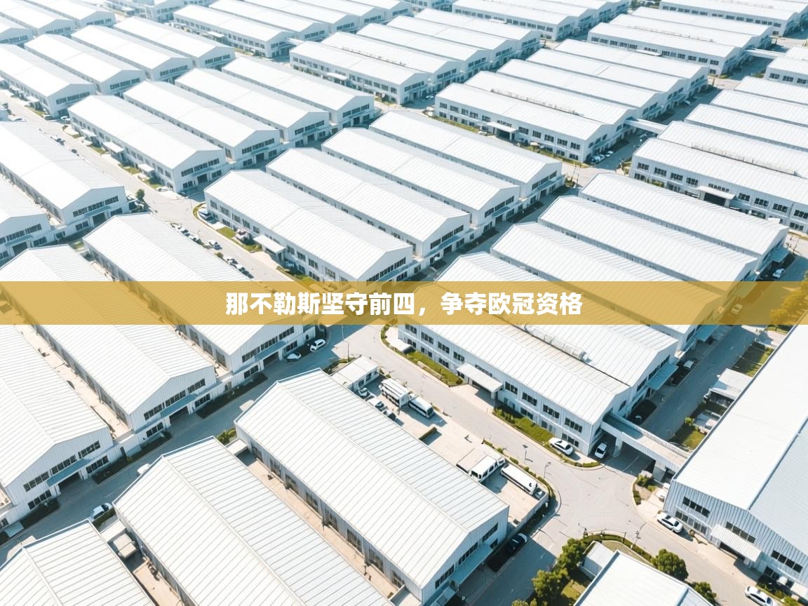 那不勒斯坚守前四，争夺欧冠资格  第1张