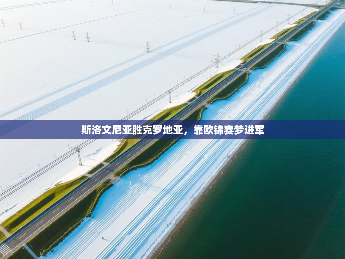 斯洛文尼亚胜克罗地亚，靠欧锦赛梦进军  第1张