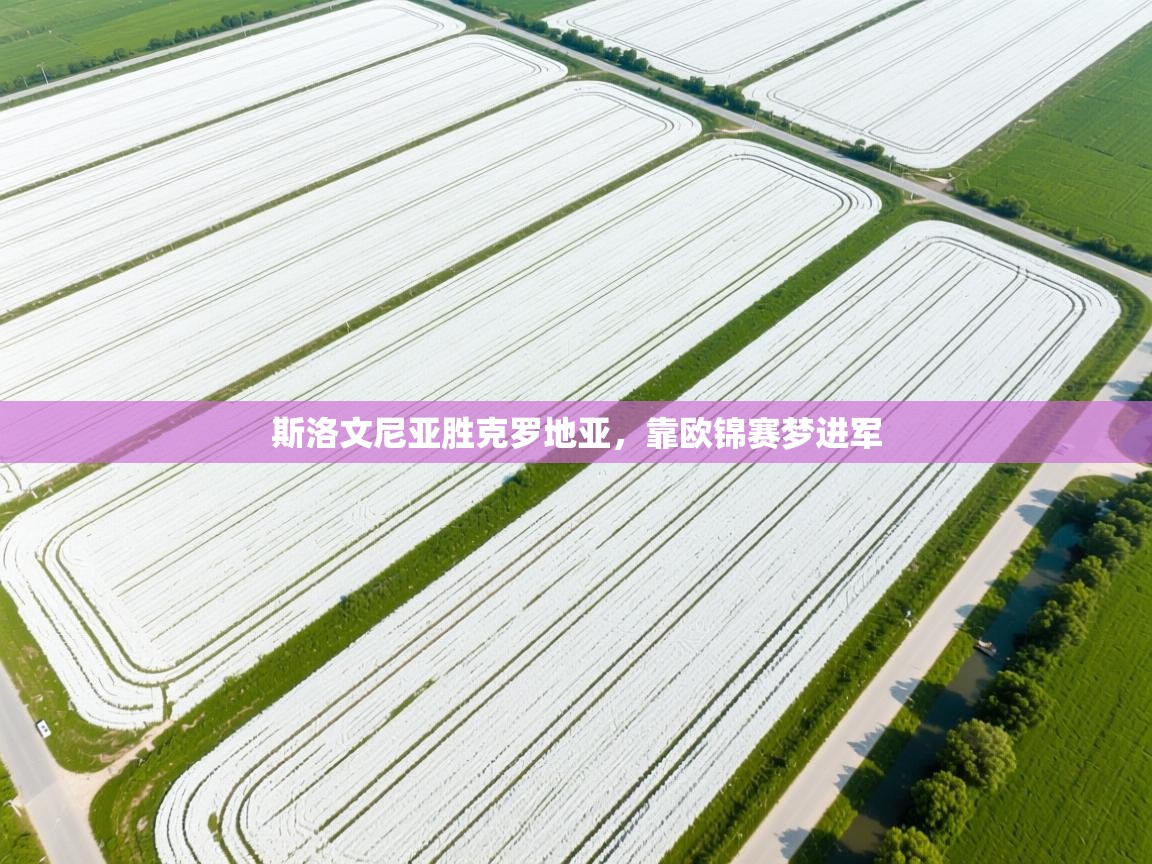 斯洛文尼亚胜克罗地亚，靠欧锦赛梦进军  第2张