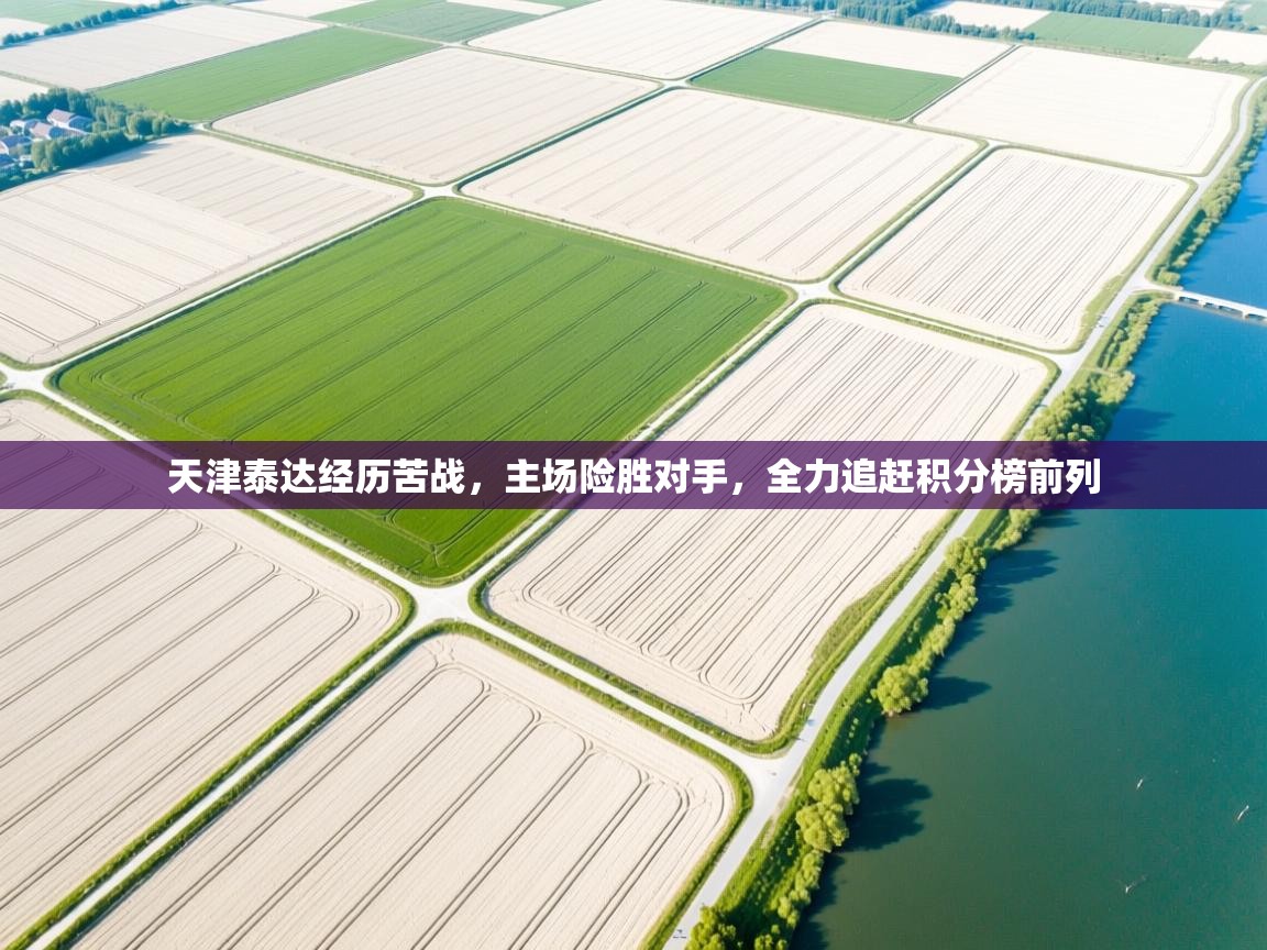 天津泰达经历苦战，主场险胜对手，全力追赶积分榜前列  第1张