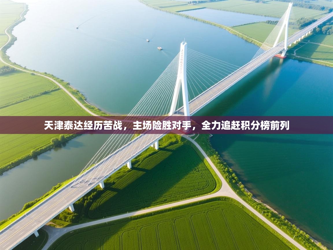 天津泰达经历苦战，主场险胜对手，全力追赶积分榜前列  第2张